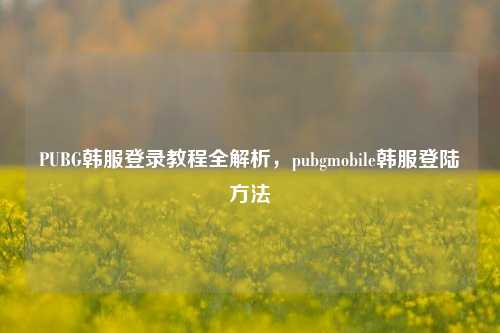 PUBG韩服登录教程全解析，pubgmobile韩服登陆 *** 
