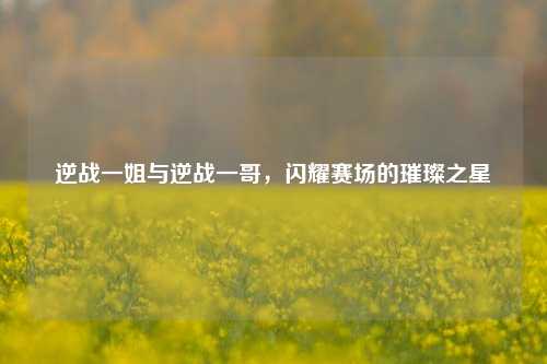 逆战一姐与逆战一哥,闪耀赛场的璀璨之星