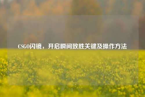 CSGO闪镜，开启瞬间致胜关键及操作 *** 