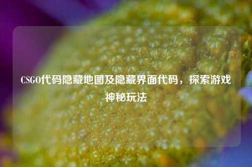 CSGO代码隐藏地图及隐藏界面代码，探索游戏神秘玩法
