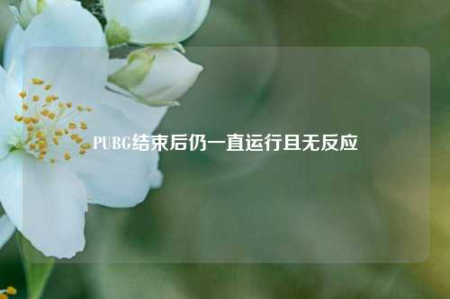 PUBG结束后仍一直运行且无反应