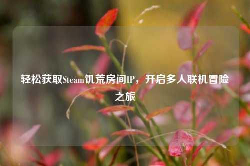 轻松获取Steam饥荒房间IP,开启多人联机冒险之旅