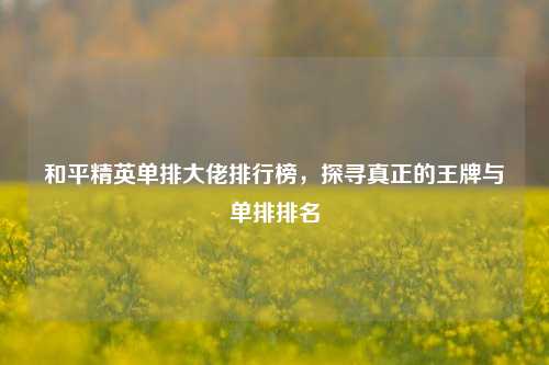和平精英单排大佬排行榜,探寻真正的王牌与单排排名