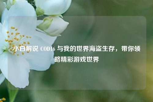 小白解说 COD16 与我的世界海盗生存，带你领略精彩游戏世界