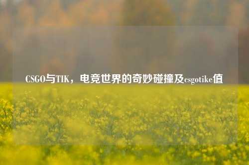 CSGO与TIK,电竞世界的奇妙碰撞及csgotike值