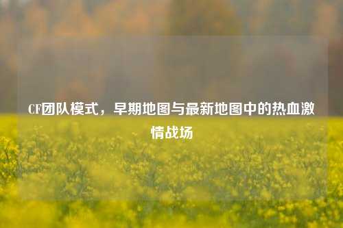 CF团队模式,早期地图与最新地图中的热血***战场