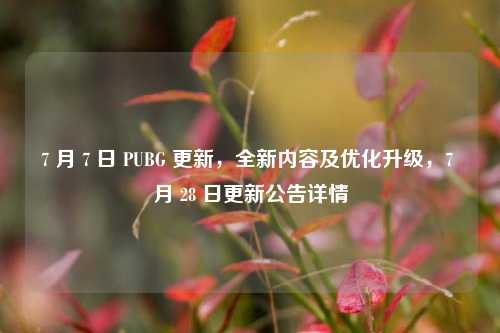 7 月 7 日 PUBG 更新，全新内容及优化升级，7 月 28 日更新公告详情