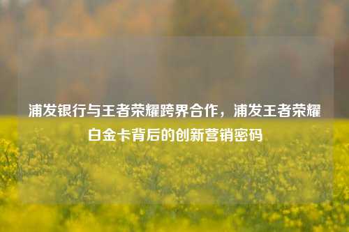 浦发银行与王者荣耀跨界合作，浦发王者荣耀白金卡背后的创新营销密码