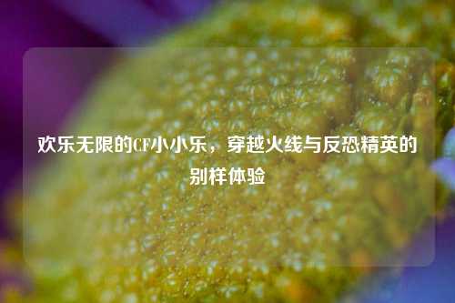 欢乐无限的CF小小乐，穿越火线与反恐精英的别样体验