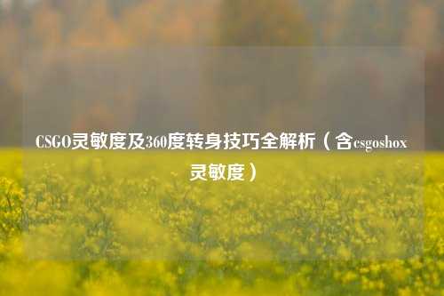 CSGO灵敏度及360度转身技巧全解析(含csgoshox灵敏度)