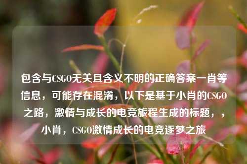 包含与CSGO无关且含义不明的正确答案一肖等信息,可能存在混淆,以下是基于小肖的CSGO之路,***与成长的电竞旅程生成的标题,,小肖,CSGO***成长的电竞逐梦之旅