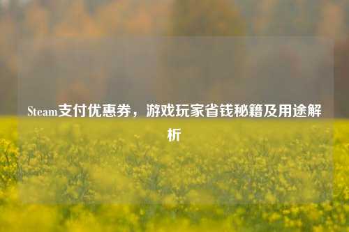 Steam支付优惠券,游戏玩家省钱秘籍及用途解析
