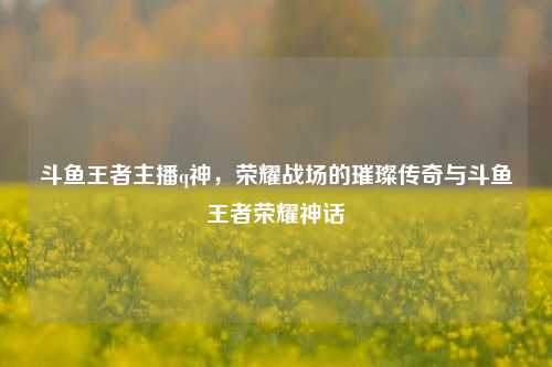 斗鱼王者主播q神,荣耀战场的璀璨传奇与斗鱼王者荣耀神话