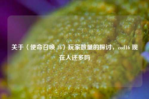 关于〈使命召唤 16〉玩家数量的探讨,cod16 现在人还多吗