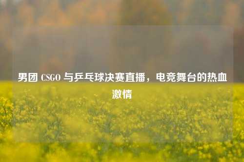 男团 CSGO 与乒乓球决赛直播，电竞舞台的热血***