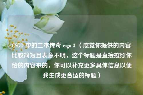 CSGO 中的三木传奇 csgo 3 (感觉你提供的内容比较简短且表意不明,这个标题是直接按照你给的内容来的,你可以补充更多具体信息以便我生成更合适的标题)