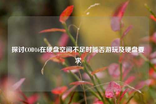探讨COD16在硬盘空间不足时能否游玩及硬盘要求