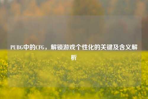PUBG中的CFG，解锁游戏个性化的关键及含义解析