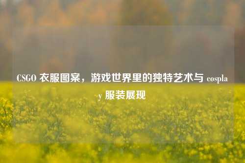 CSGO 衣服图案,游戏世界里的独特艺术与 cosplay 服装展现