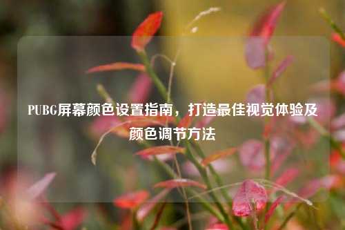 PUBG屏幕颜色设置指南,打造更佳视觉体验及颜色调节 ***
