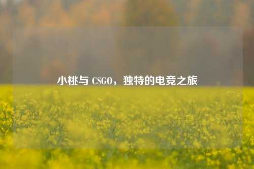 小桃与 CSGO，独特的电竞之旅