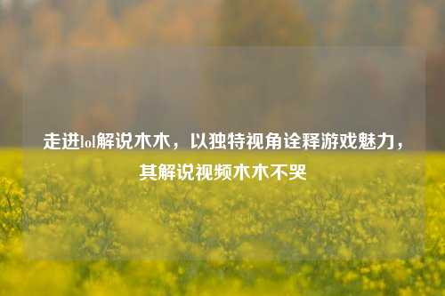 走进lol解说木木,以独特视角诠释游戏魅力,其解说视频木木不哭