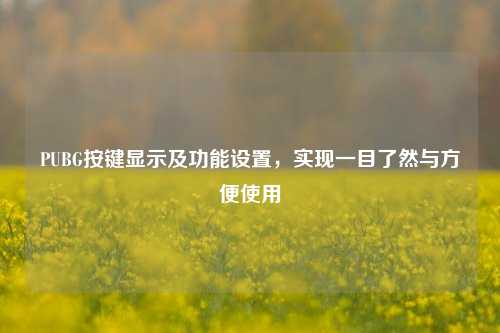 PUBG按键显示及功能设置,实现一目了然与方便使用
