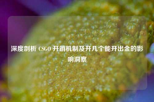 深度剖析 CSGO 开销机制及开几个能开出金的影响洞察