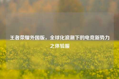 王者荣耀外国版，全球化浪潮下的电竞新势力之体验服