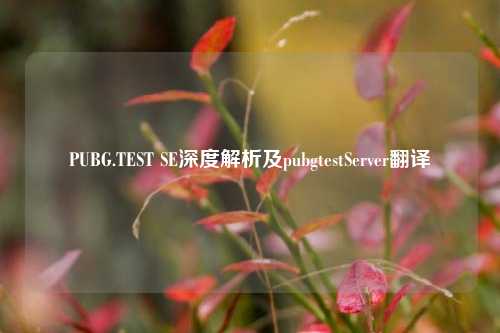 PUBG.TEST SE深度解析及pubgtestServer翻译
