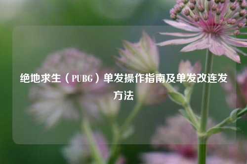 绝地求生(PUBG)单发操作指南及单发改连发 ***