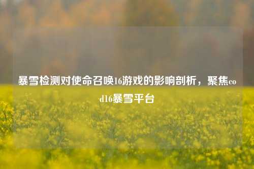 暴雪检测对使命召唤16游戏的影响剖析，聚焦cod16暴雪平台