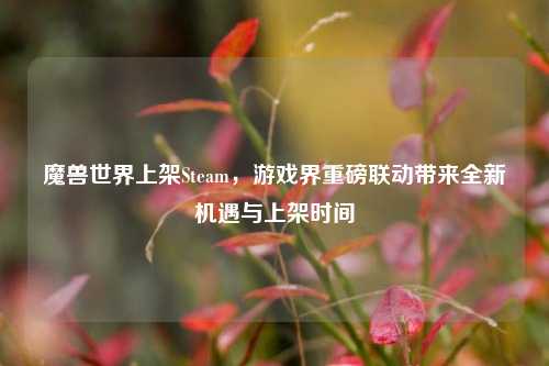 魔兽世界上架Steam，游戏界重磅联动带来全新机遇与上架时间
