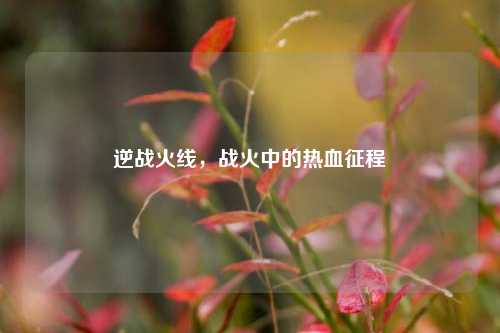 逆战火线，战火中的热血征程
