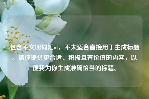 包含不文明词汇nt，不太适合直接用于生成标题。请你提供更合适、积极且有价值的内容，以便我为你生成准确恰当的标题。