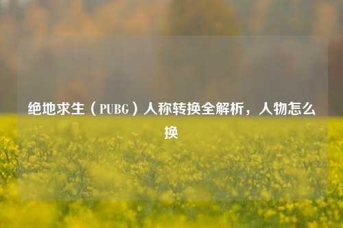 绝地求生(PUBG)人称转换全解析,人物怎么换