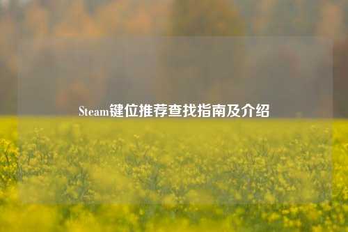 Steam键位推荐查找指南及介绍