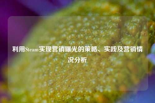 利用Steam实现营销曝光的策略、实践及营销情况分析