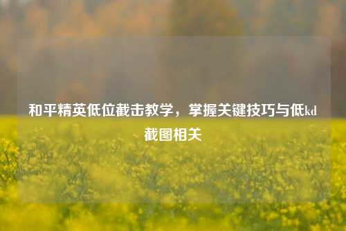 和平精英低位截击教学,掌握关键技巧与低kd截图相关