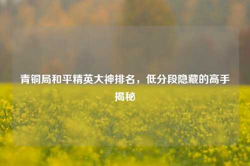 青铜局和平精英大神排名,低分段隐藏的高手揭秘