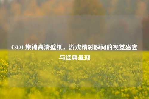 CSGO 集锦高清壁纸,游戏精彩瞬间的视觉盛宴与经典呈现