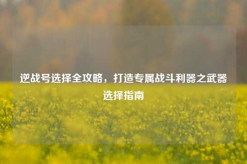 逆战号选择全攻略,打造专属战斗利器之武器选择指南