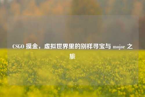 CSGO 摸金,虚拟世界里的别样寻宝与 mojor 之旅