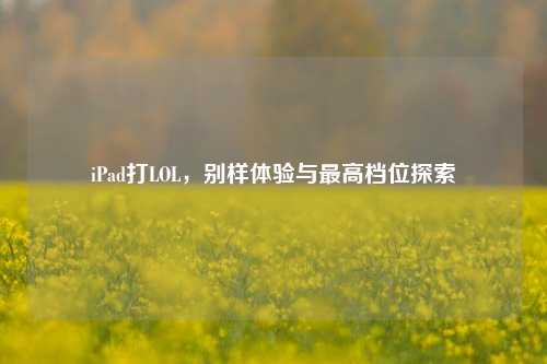 iPad打LOL，别样体验与更高档位探索