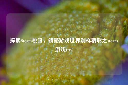 探索Steam桃服,领略游戏世界别样精彩之steam游戏ttv2