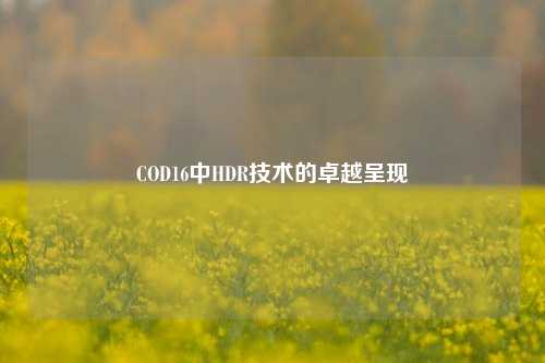 COD16中HDR技术的卓越呈现