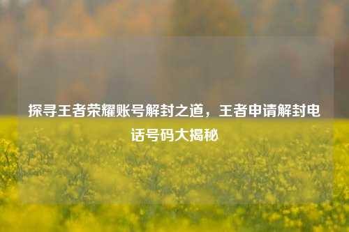 探寻王者荣耀账号解封之道，王者申请解封 *** 号码大揭秘