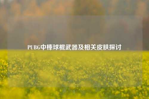 PUBG中棒球棍武器及相关皮肤探讨