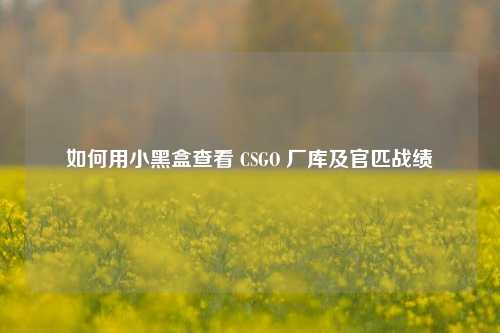 如何用小黑盒查看 CSGO 厂库及官匹战绩