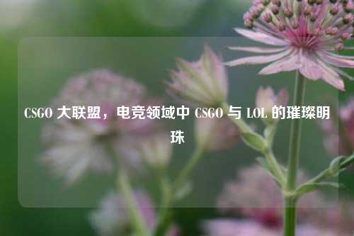 CSGO 大联盟,电竞领域中 CSGO 与 LOL 的璀璨明珠